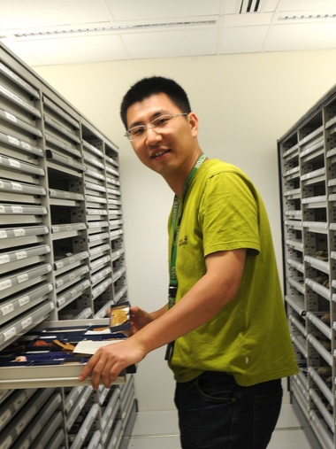 开云体验官网入口_开云(中国)创新论坛第一千八百零一讲：虫鸣凤舞伴花香：现代陆地生态系统的起源